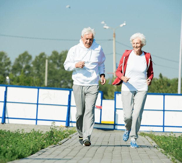 Longevity/Optimization Protocol